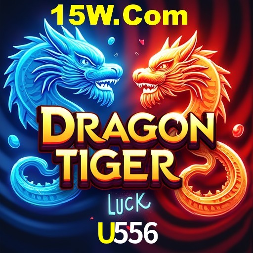 Secure Login U556